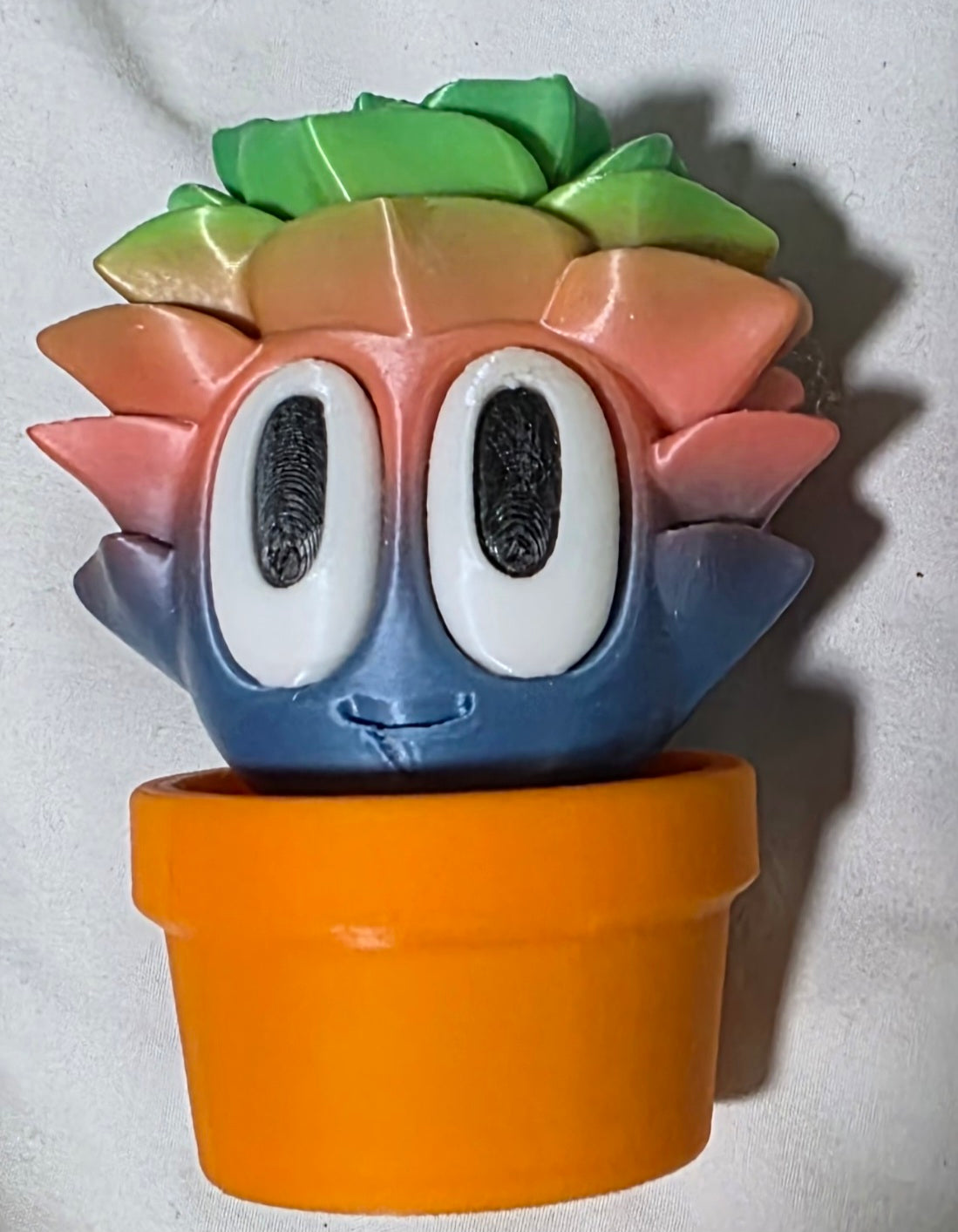 Silly Sherman the Succulent