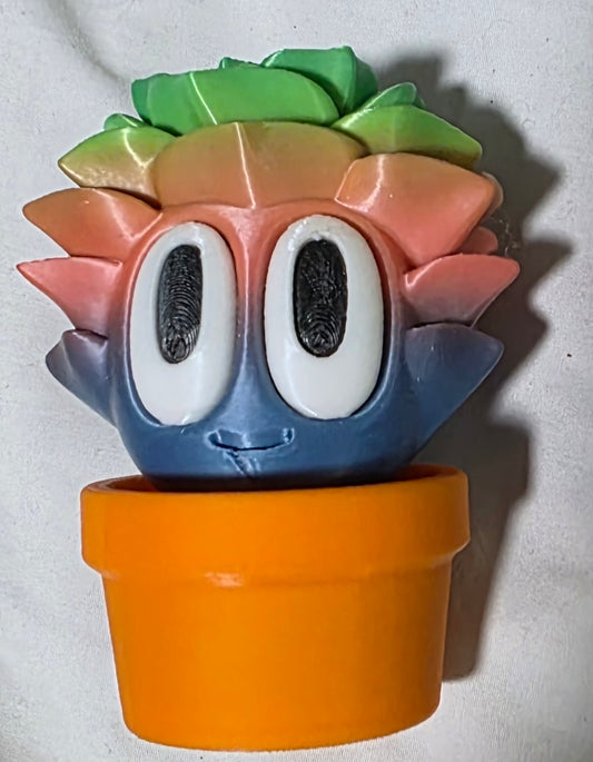 Silly Sherman the Succulent